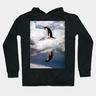 Adelie Penguin in a Reflective Mood Hoodie